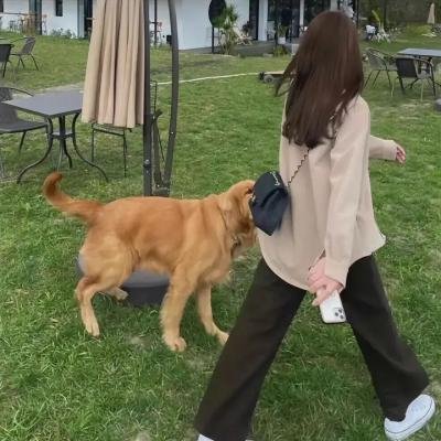 阿妈有咗第二个